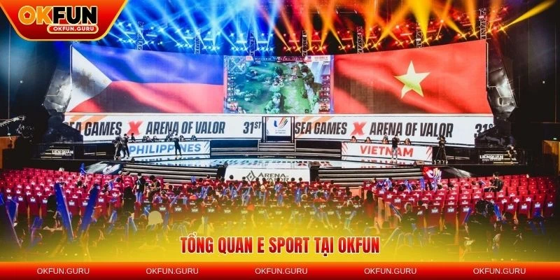Tổng quan e - sport tại OKFUN